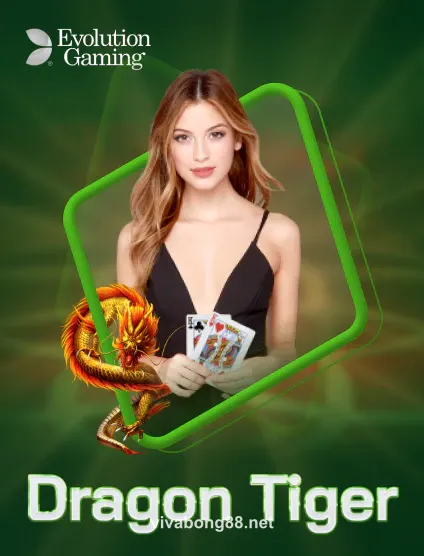 Hình ảnh Evolution Dragon Tiger Portrait tại vivabong88