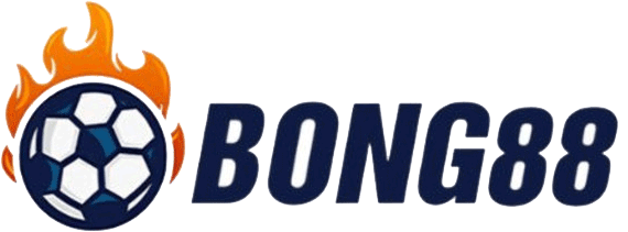 Logo vivabong88